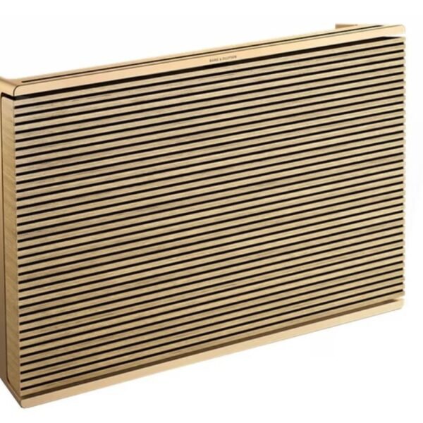 Altoparlanti portatili Bluetooth BANG & OLUFSEN BEOSOUND LEVEL GOLD TONE